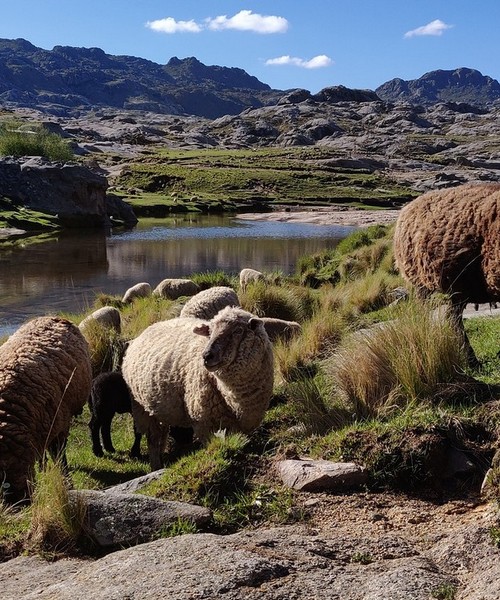 Senza Orizzonti Viaggi - viaggio cultura argentina