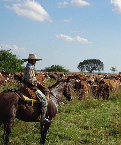 Senza Orizzonti Viaggi - viaggio cultura argentina