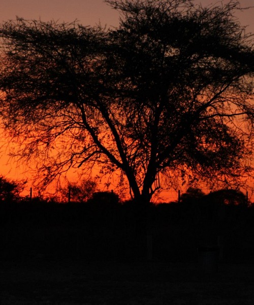 Senza Orizzonti Viaggi - viaggio cultura namibia