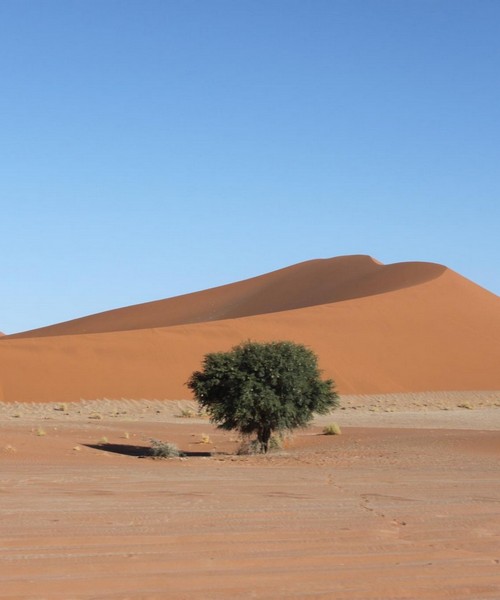 Senza Orizzonti Viaggi - viaggio cultura namibia