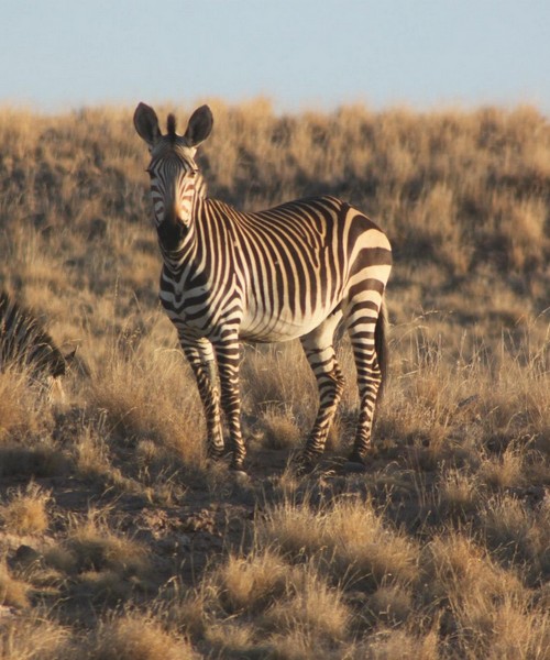 Senza Orizzonti Viaggi - viaggio cultura namibia