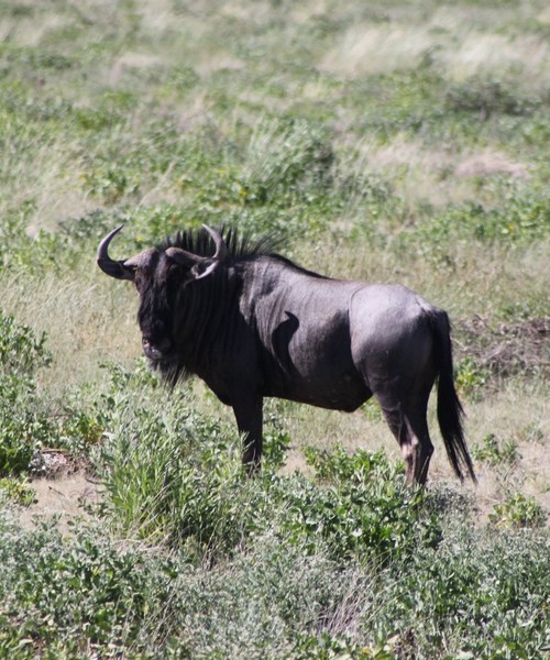 Senza Orizzonti Viaggi - viaggio cultura namibia