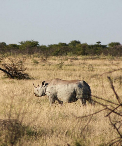 Senza Orizzonti Viaggi - viaggio cultura namibia