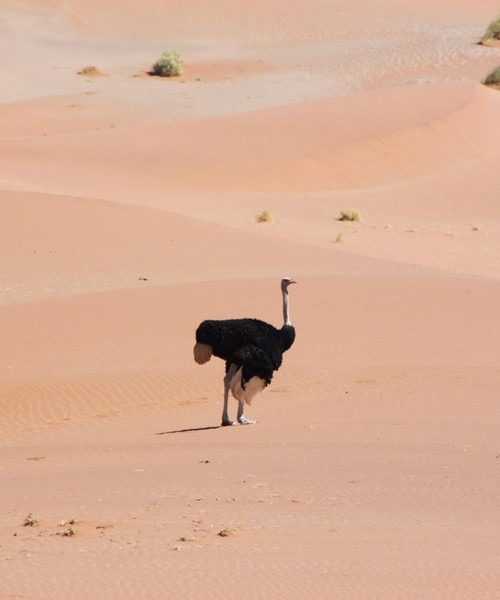 Senza Orizzonti Viaggi - viaggio cultura namibia