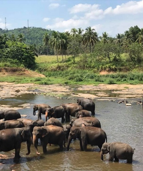 Senza Orizzonti Viaggi - viaggio cultura sri lanka