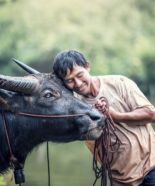 Senza Orizzonti Viaggi - viaggio cultura thailandia