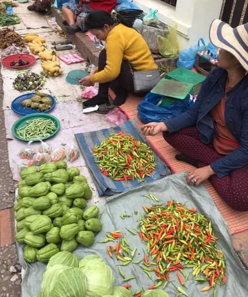 Senza Orizzonti Viaggi - viaggio cultura vietnam