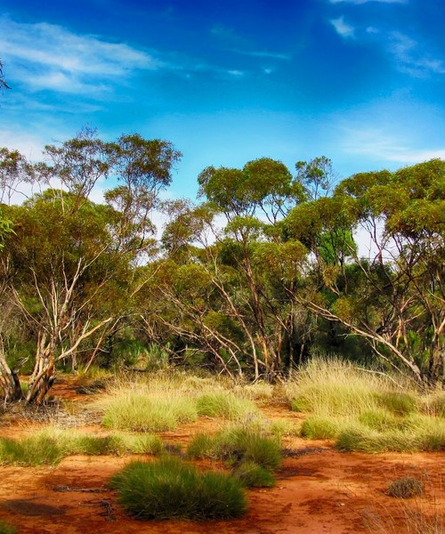 Senza Orizzonti Viaggi - viaggio esplorazione australia