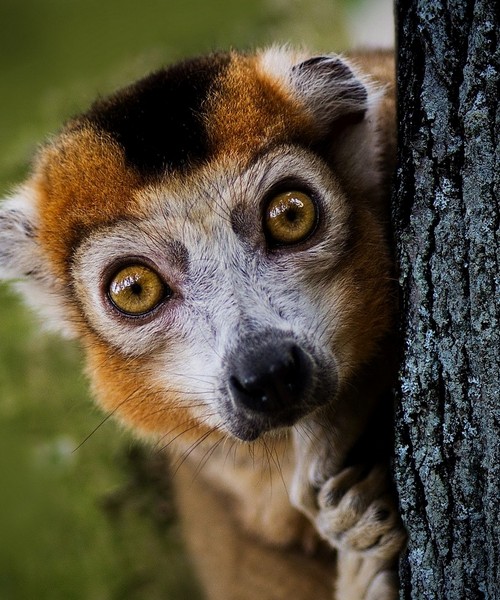 Senza Orizzonti Viaggi - viaggio esplorazione madagascar