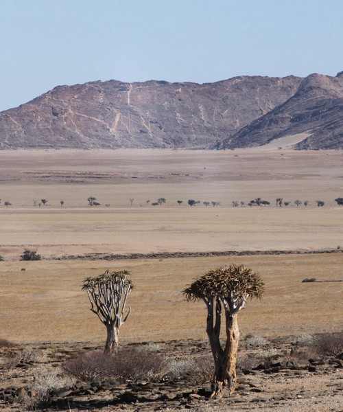 Senza Orizzonti Viaggi - viaggio esplorazione namibia