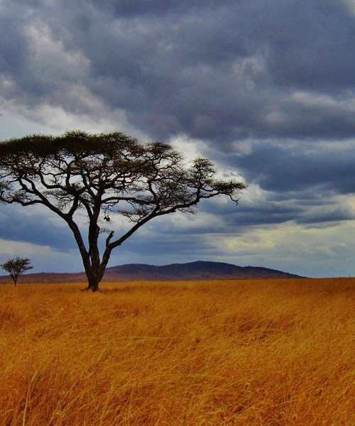 Senza Orizzonti Viaggi - viaggio esplorazione tanzania