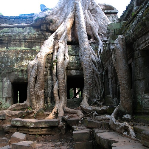 Viaggio esplorazione - Cambogia