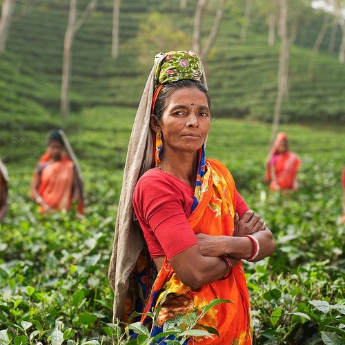 Viaggio esplorazione - India