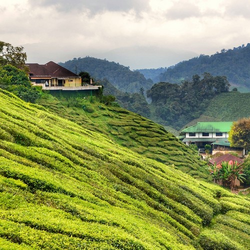 Viaggio esplorazione - Malaysia