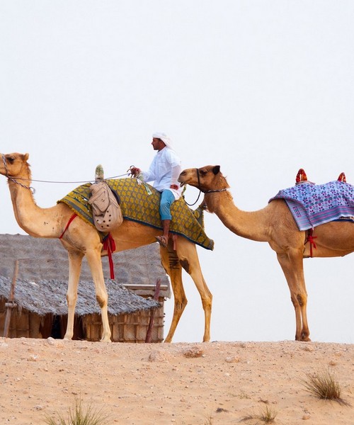 Senza Orizzonti Viaggi - viaggio relax dubai