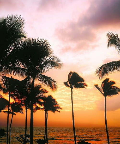 Senza Orizzonti Viaggi - viaggio romantico hawai