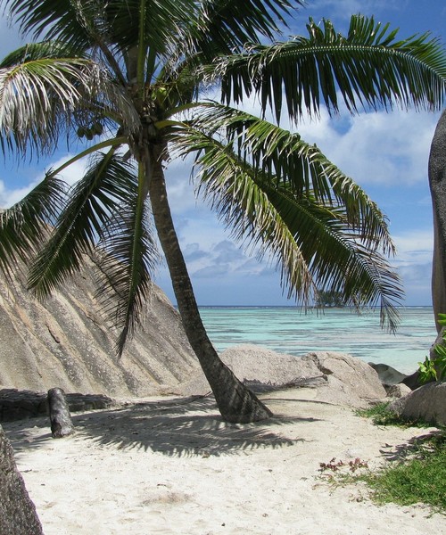 Senza Orizzonti Viaggi - viaggio romantico seychelles