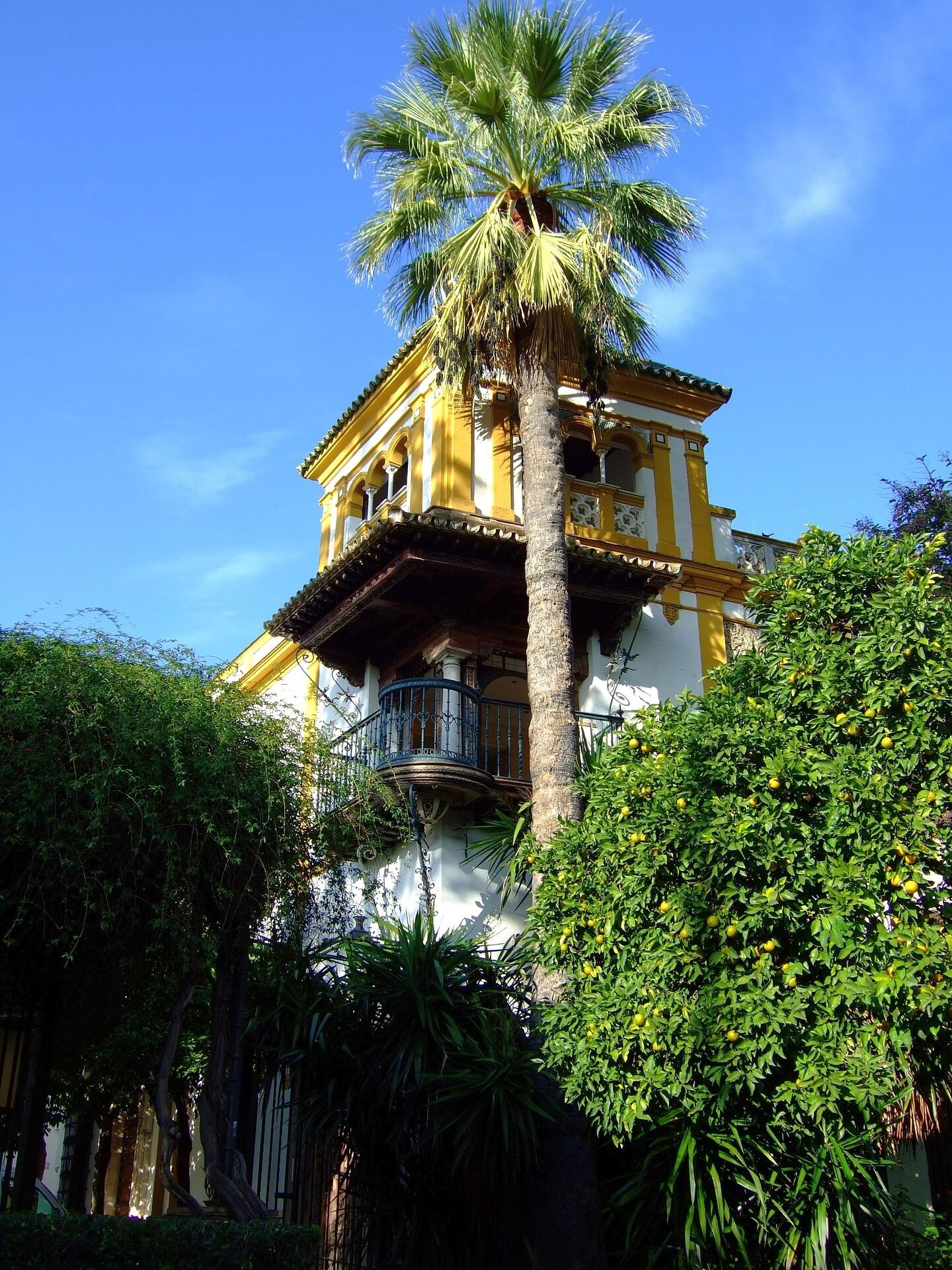 Tour | TOUR ANDALUSIA