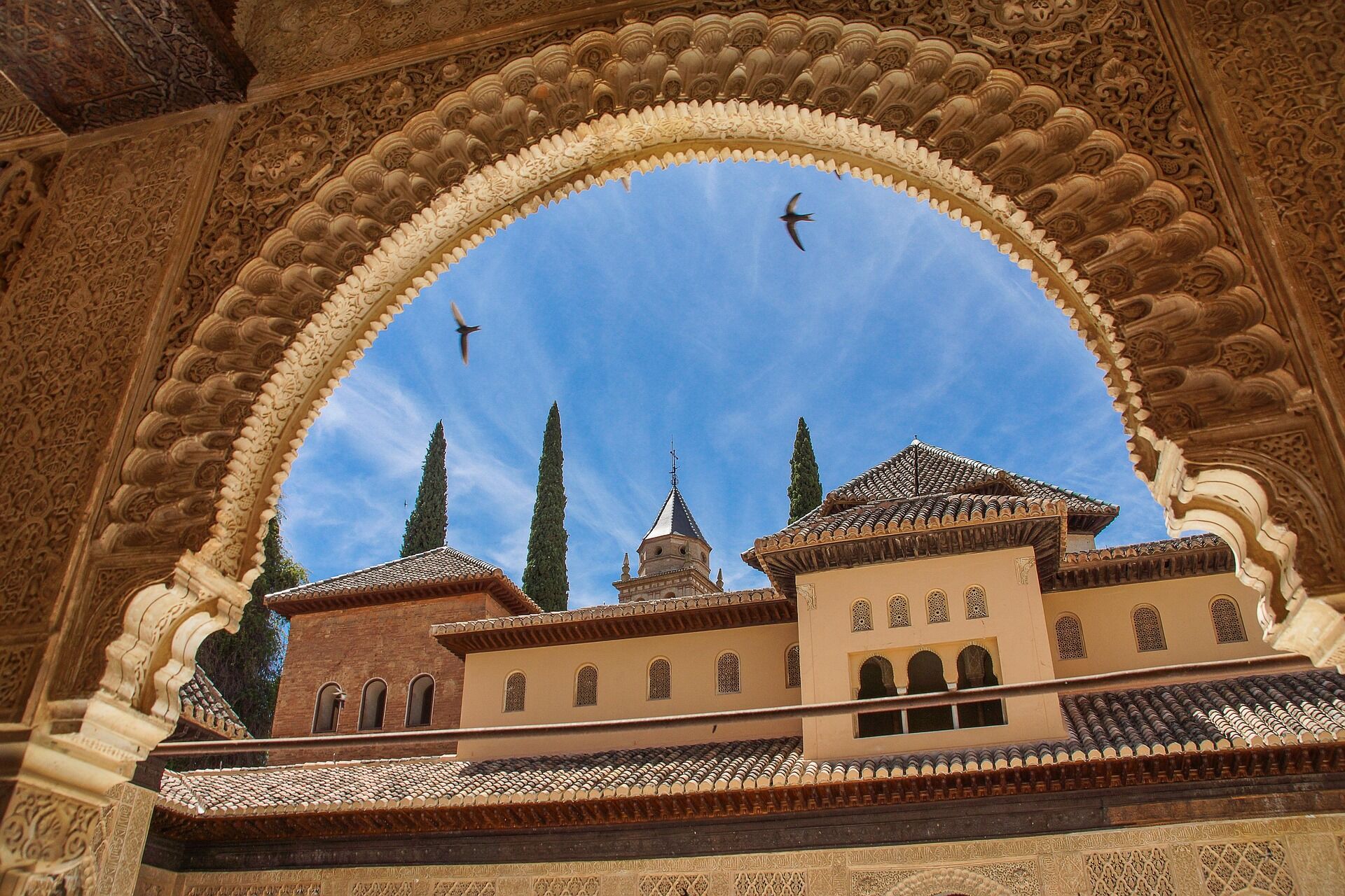 Tour | TOUR ANDALUSIA